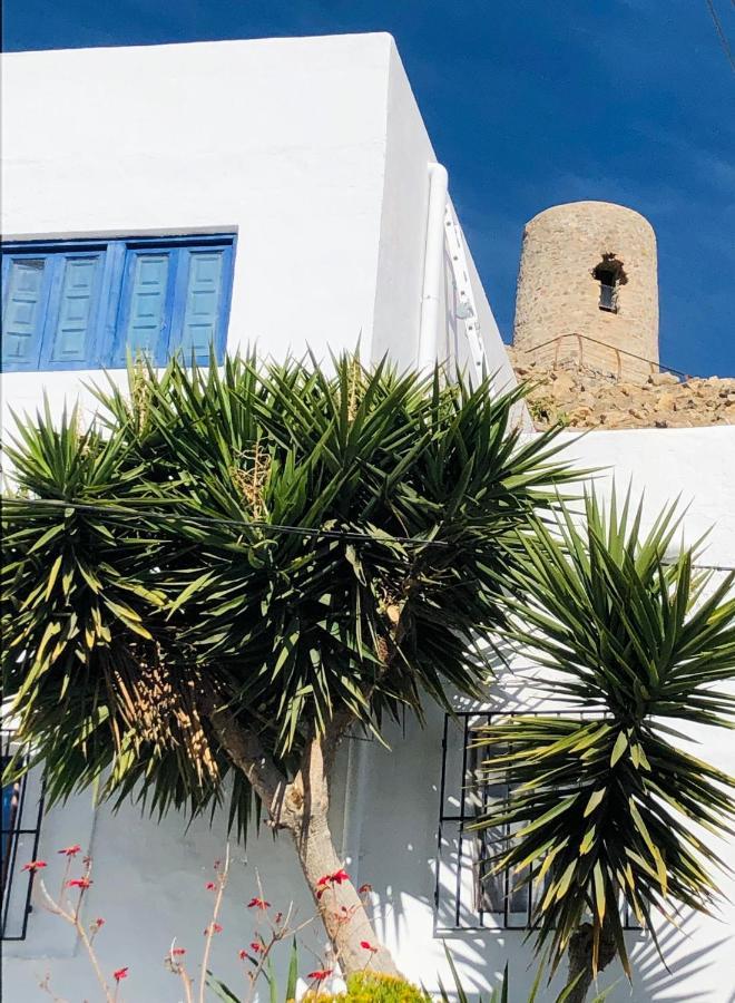 Damajuana Villa Níjar Eksteriør bilde